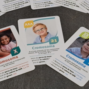 Juegos de cartas cromosomas. ¡Aprende jugando!